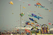 32 FESTIVAL CERVIA 2012 - 050